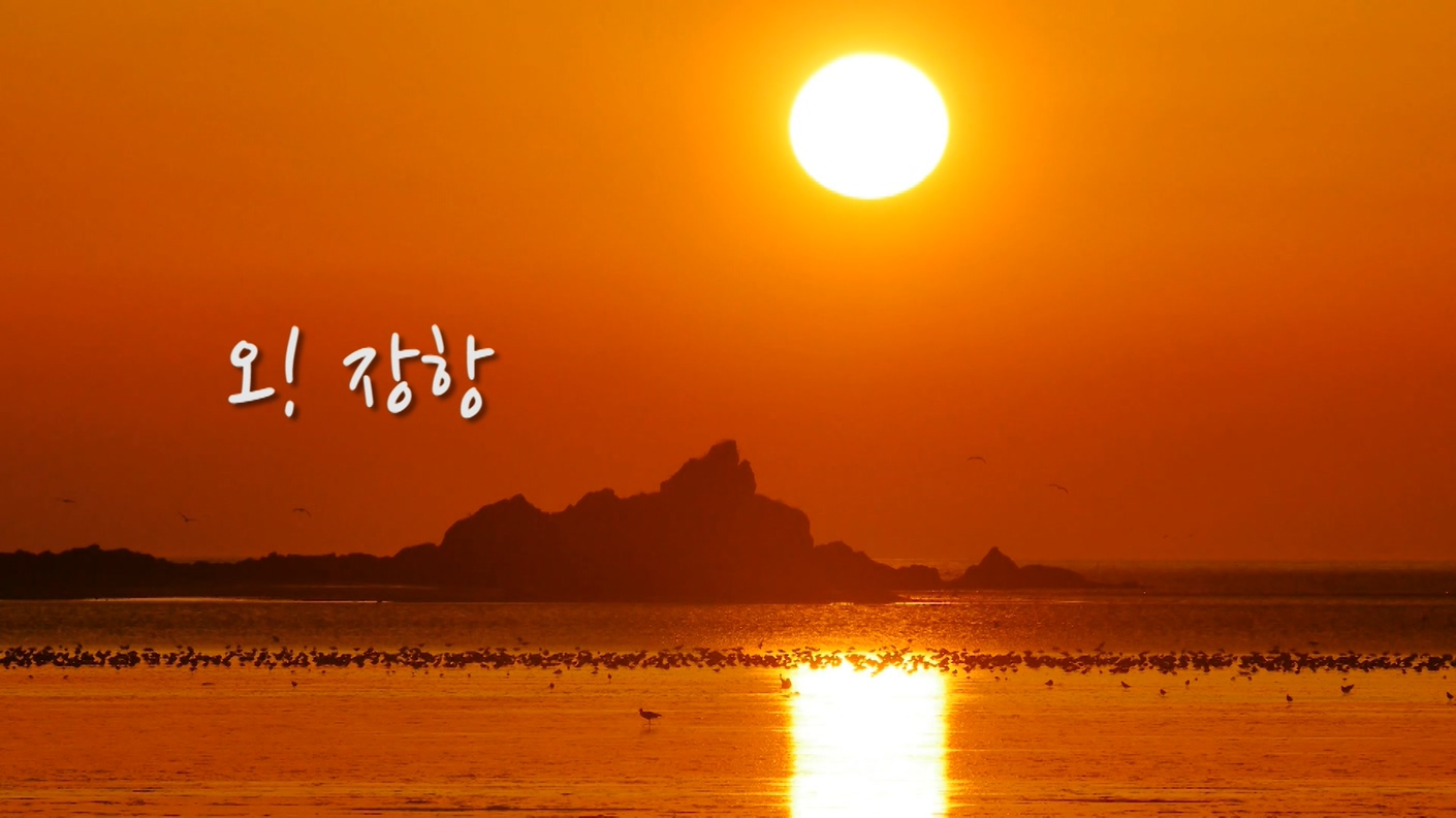 방송